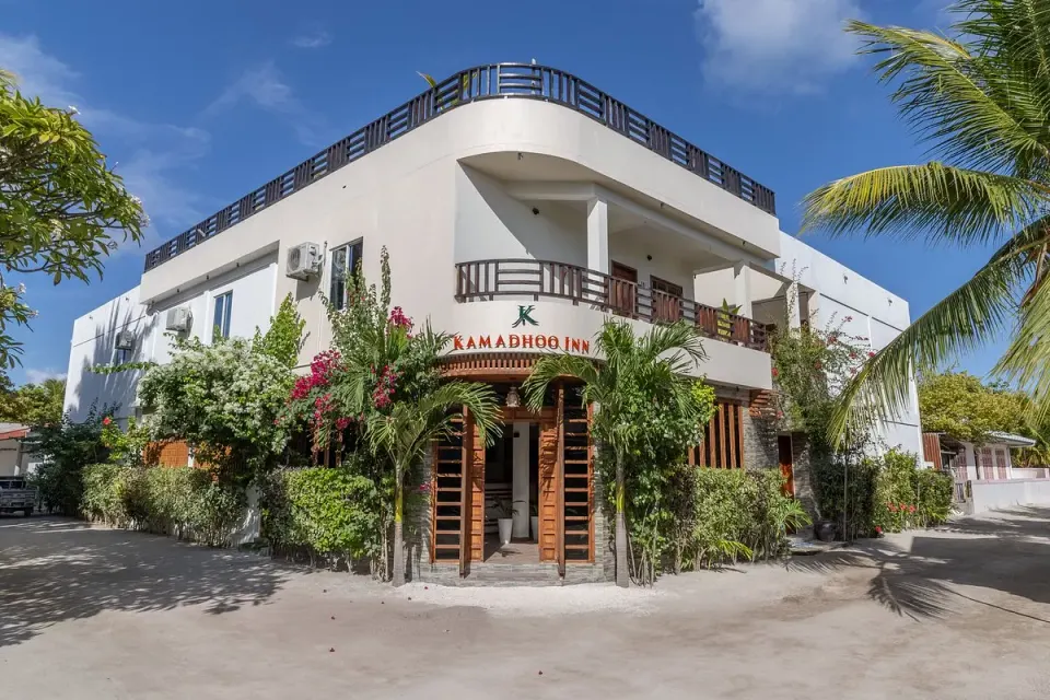 open a guesthouse in the Maldives