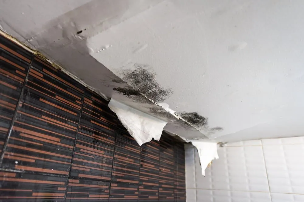 Restoring Damaged Ceilings