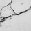 Wall Cracks